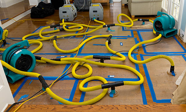 Professional Water Extraction technician working in New Gretna, NJ